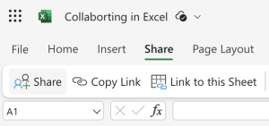 A screenshot from Microsoft 365 Excel for Web Application showing the 'Share' bar from the ribbon menu.